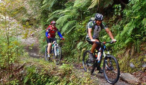 Come enjoy the best mountain-biking on the Garden Route in Wilderness MTB